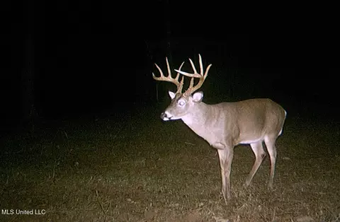 00006 Old Red Star Rd, Wesson, MS 39191 photo 13