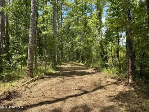 00006 Old Red Star Rd, Wesson, MS 39191 photo 23
