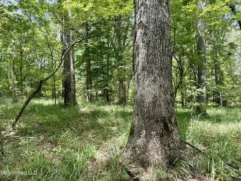 00006 Old Red Star Rd, Wesson, MS 39191