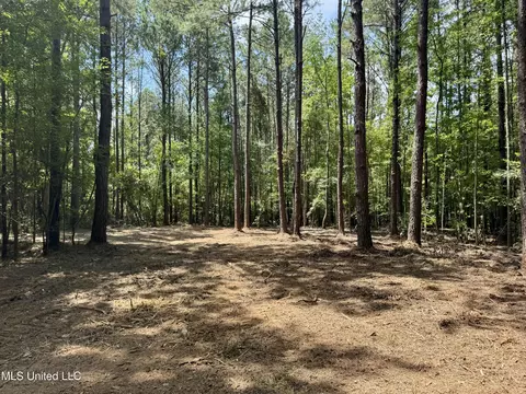 00006 Old Red Star Rd, Wesson, MS 39191 photo 29