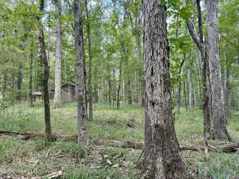 00006 Old Red Star Rd, Wesson, MS 39191 photo 3