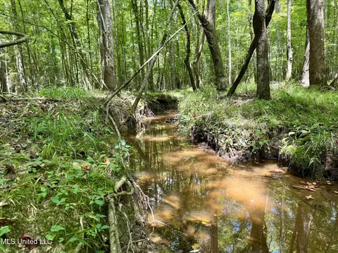 00006 Old Red Star Rd, Wesson, MS 39191 photo 2