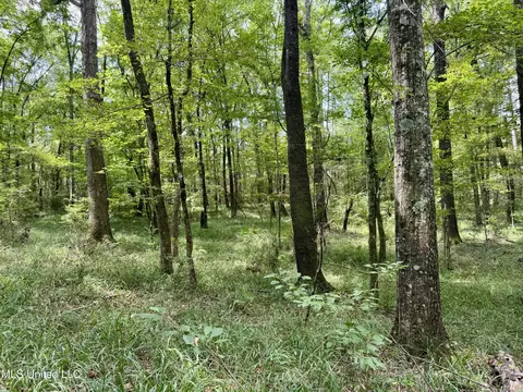 00006 Old Red Star Rd, Wesson, MS 39191 photo 19