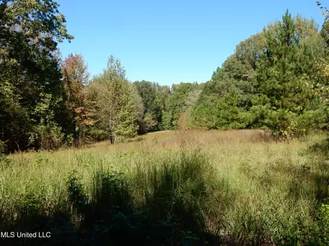 lot8 N Crockett Rd, Senatobia, MS 38668