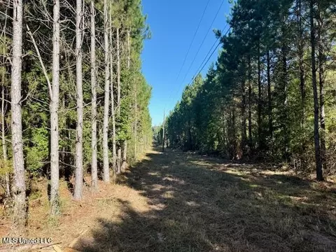 Tuckers Drive Se, Bogue Chitto, MS 39629