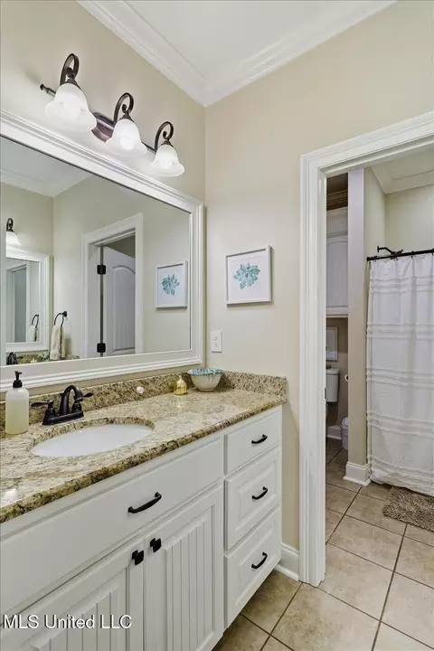 334 Gladeview Pl, Brandon, MS 39047 photo 30