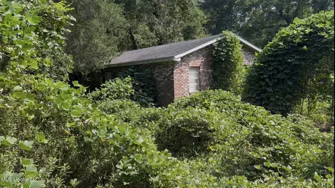 30 Hibiscus Ln, Natchez, MS 39120 photo 3