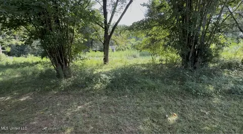 30 Hibiscus Ln, Natchez, MS 39120 photo 2