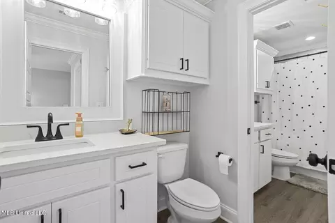 Bath - 301 Leland Dr, Brandon, MS 39042 photo 4 of 5