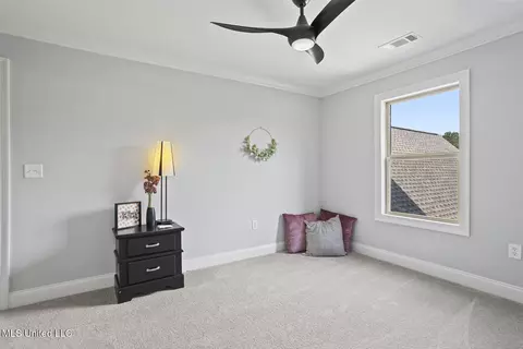 Other - 301 Leland Dr, Brandon, MS 39042 photo 5 of 8