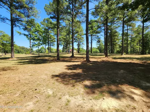 Bett Road, Coldwater, MS 38618 photo 20