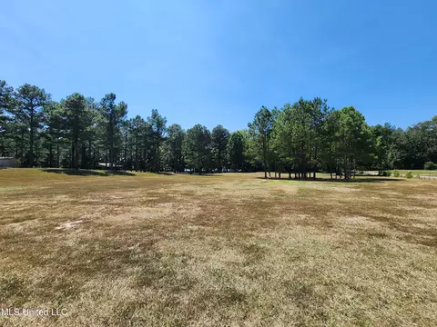 Bett Road, Coldwater, MS 38618 photo 3
