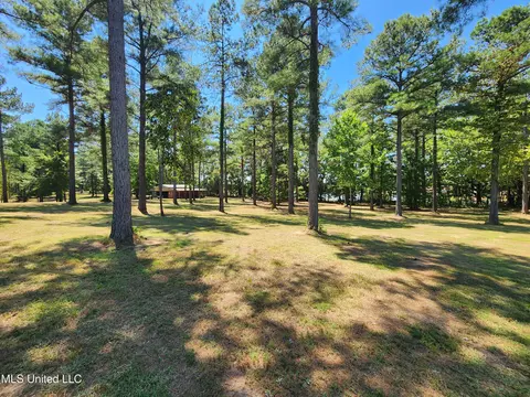 Bett Road, Coldwater, MS 38618