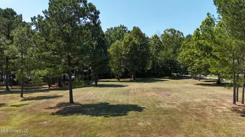 Bett Road, Coldwater, MS 38618 photo 5