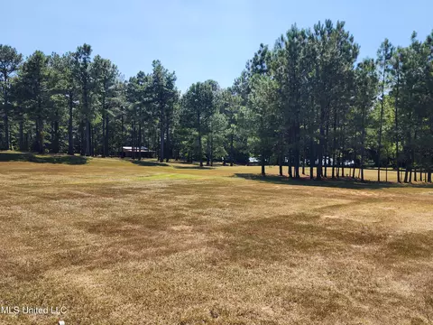 Bett Road, Coldwater, MS 38618 photo 6
