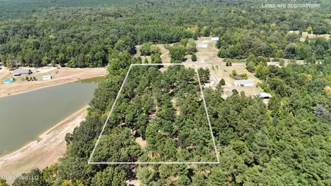 Bett Road, Coldwater, MS 38618 photo 11