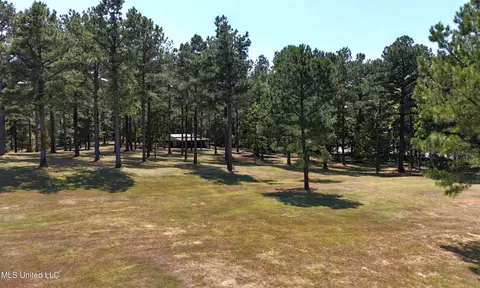 Bett Road, Coldwater, MS 38618 photo 12