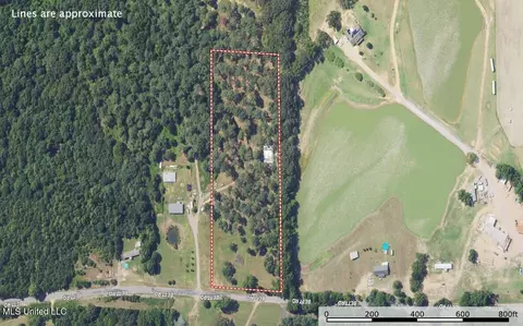 Bett Road, Coldwater, MS 38618 photo 21