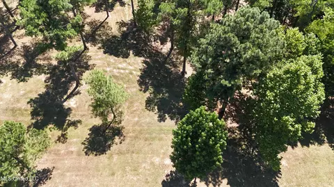 Bett Road, Coldwater, MS 38618 photo 18