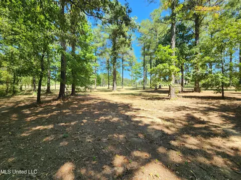 Bett Road, Coldwater, MS 38618 photo 19