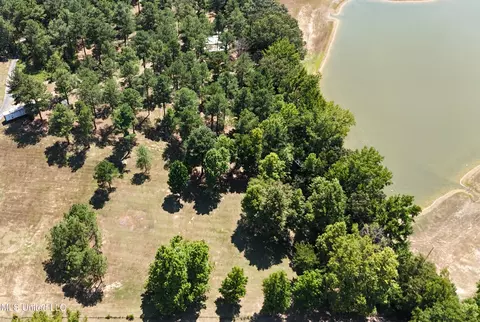 Bett Road, Coldwater, MS 38618 photo 10
