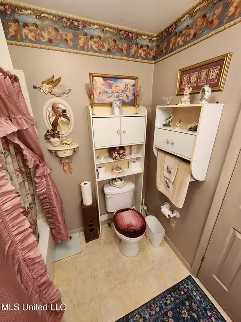 Bath - 951 Wetonga Ln, Hernando, MS 38632 photo 2 of 5