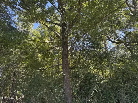 929 Mt Zion Rd # A, Wesson, MS 39191 photo 5