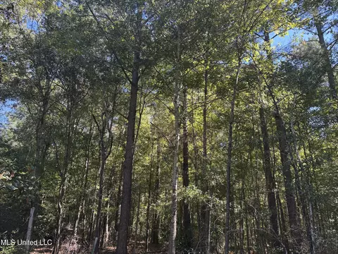 929 Mt Zion Rd # A, Wesson, MS 39191 photo 3