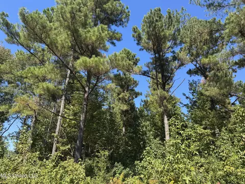 929 Mt Zion Rd # A, Wesson, MS 39191 photo 8