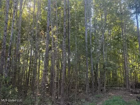 54 Shamrock Loop, Byhalia, MS 38611 photo 7