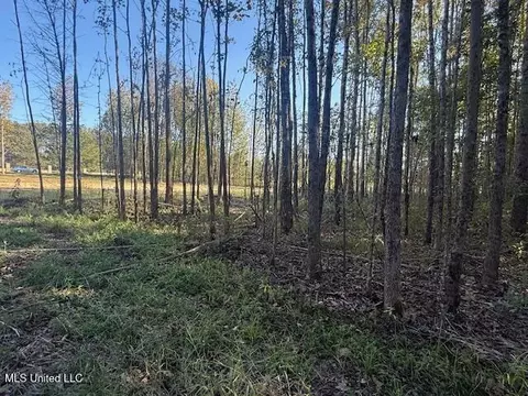 54 Shamrock Loop, Byhalia, MS 38611 photo 10
