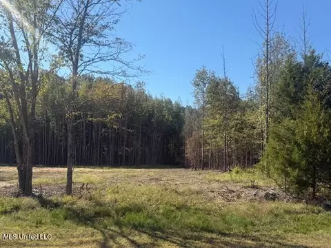 54 Shamrock Loop, Byhalia, MS 38611 photo 2