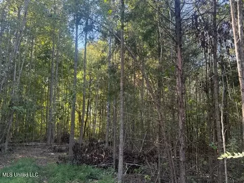 54 Shamrock Loop, Byhalia, MS 38611 photo 8