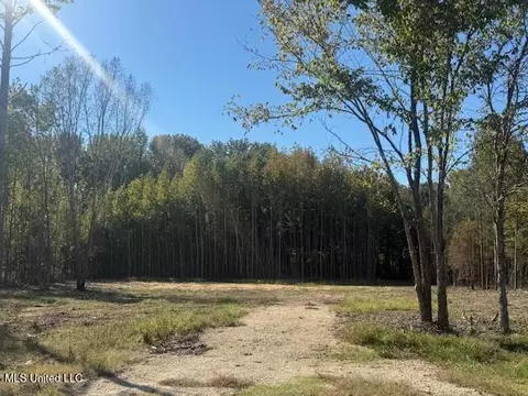 54 Shamrock Loop, Byhalia, MS 38611