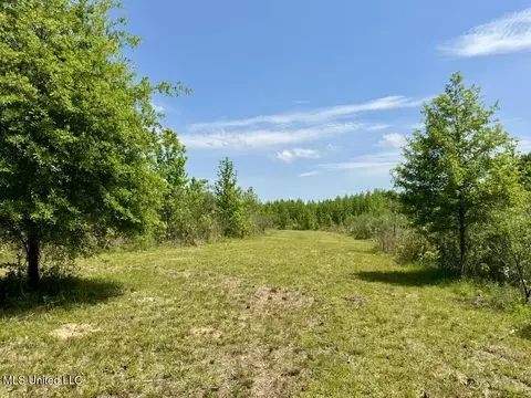 000004 Windermere Blvd, Canton, MS 39046 photo 16