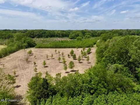 000004 Windermere Blvd, Canton, MS 39046 photo 13