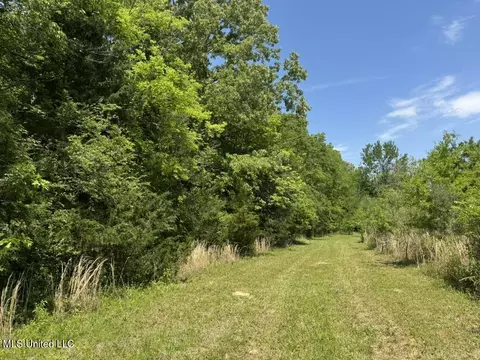 000004 Windermere Blvd, Canton, MS 39046 photo 11