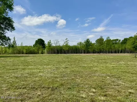 000004 Windermere Blvd, Canton, MS 39046 photo 6