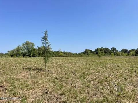 000004 Windermere Blvd, Canton, MS 39046 photo 20