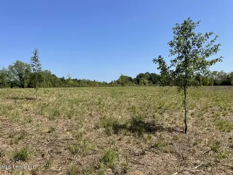000004 Windermere Blvd, Canton, MS 39046 photo 12