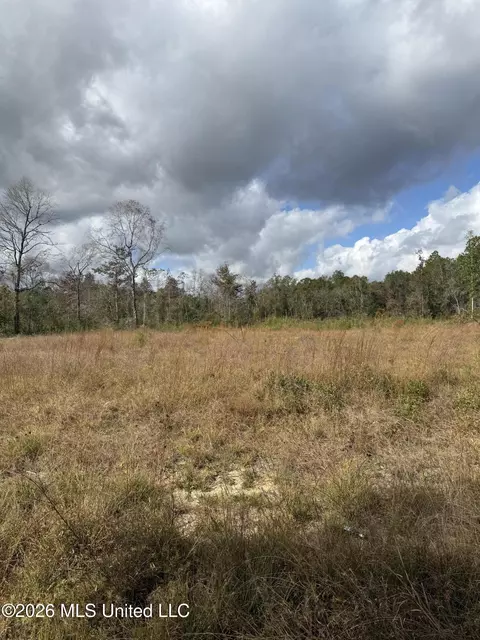 0 Ramie Farm Rd, Lucedale, MS 39452 photo 2