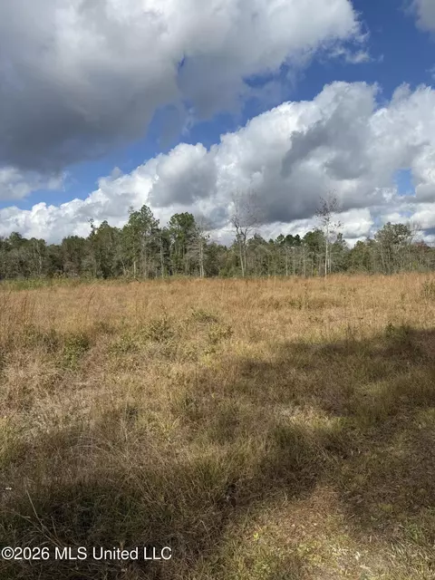 0 Ramie Farm Rd, Lucedale, MS 39452 photo 3