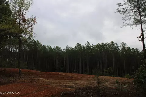 601 Co Rd 442, Oxford, MS 38655
