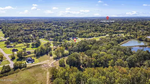650 Smokestack Dr, Hernando, MS 38632 photo 53