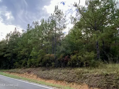 Liberty Road, Picayune, MS 39466 photo 2