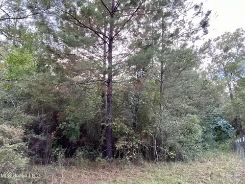 Liberty Road, Picayune, MS 39466 photo 4