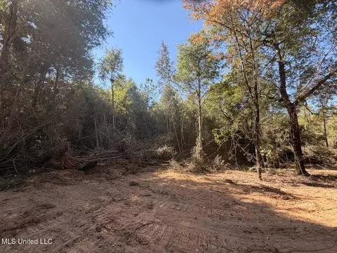 12 Acres Man Moulds Rd, Lucedale, MS 39452 photo 6