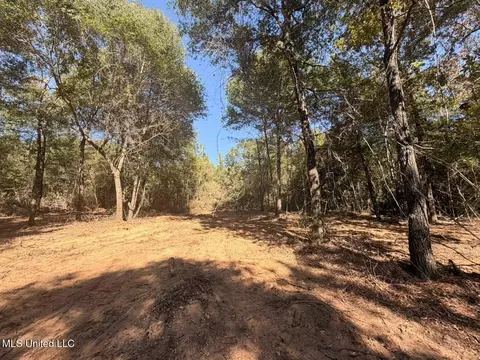 12 Acres Man Moulds Rd, Lucedale, MS 39452 photo 3