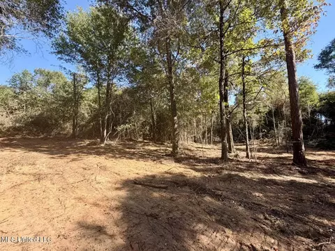 12 Acres Man Moulds Rd, Lucedale, MS 39452 photo 5