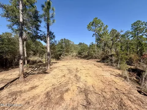 12 Acres Man Moulds Rd, Lucedale, MS 39452 photo 4